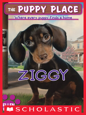 cover image of Ziggy